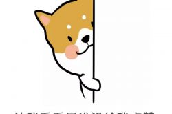 怎样零基础自学java？