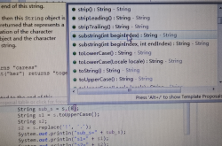 新手入门之 如何正确快速查java api？