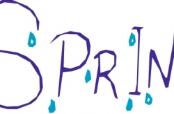 一文详解：java认证考试报名费用