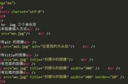 HTML入门(初学者怎样看懂代码)