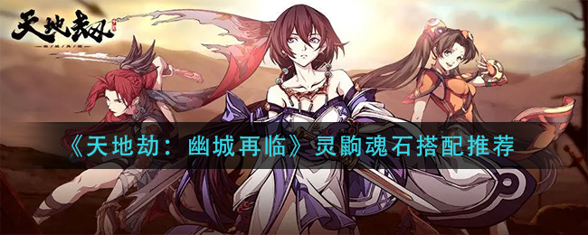 天地劫幽城再临灵鼩带什么魂石好