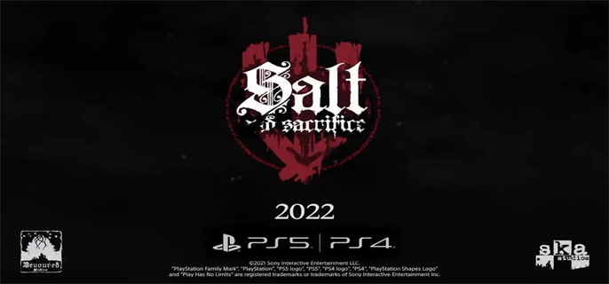 盐与献祭武器节奏排行榜