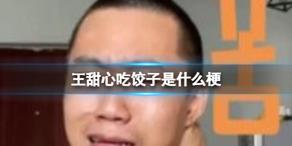王甜心吃饺子什么意思梗出处