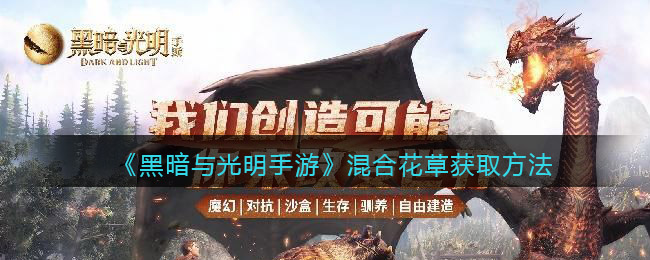 黑暗与光明混合花草怎么得