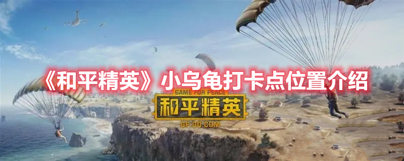 和平精英小乌龟打开点怎么找位置一览