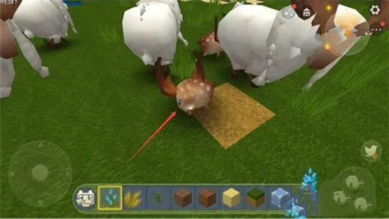 迷你世界怎么喂羊