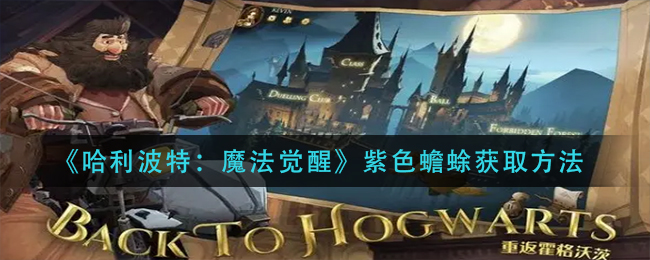 哈利波特手游紫色蟾蜍怎么得