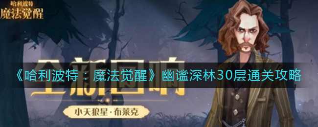 哈利波特手游幽谧深林30层怎么过