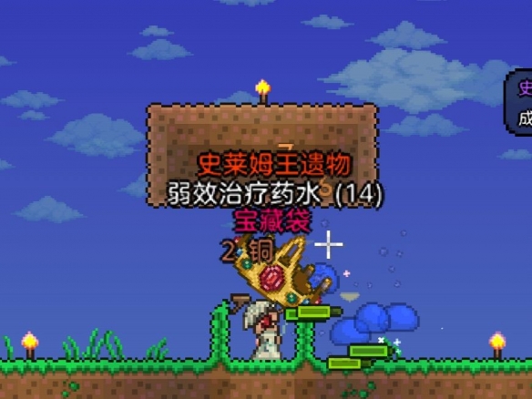 泰拉瑞亚速刷史莱姆王攻略