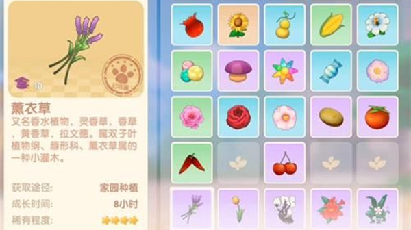 摩尔庄园薰衣草花梗怎么获得？薰衣草花梗任务完成图文攻略[多图]图片2