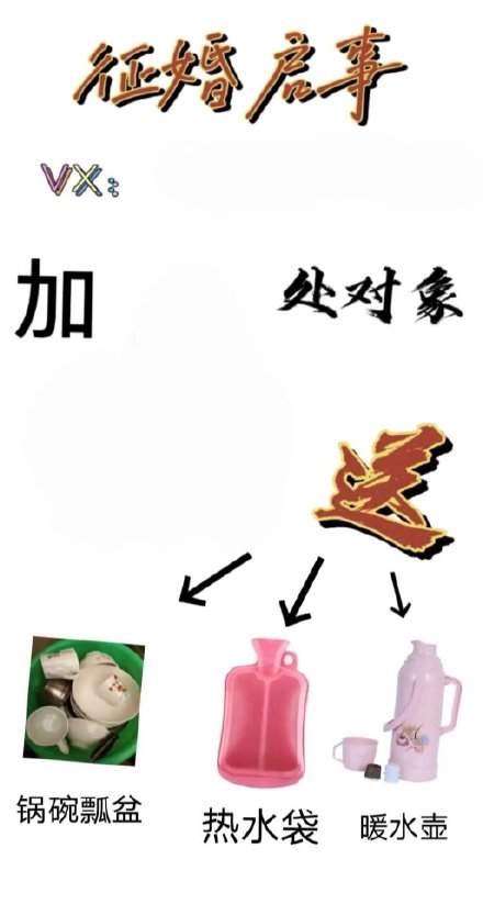 过年征婚启事找对象表情包