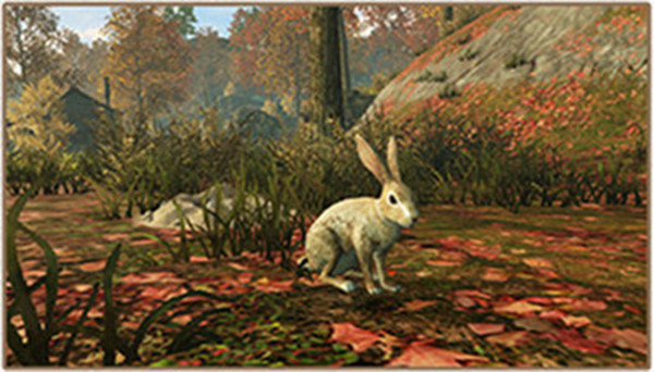 明日之后抓兔子怎么玩？野兔出没捕捉兔子方法步骤[多图]图片1