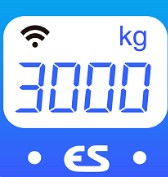 苏测智能称重系统