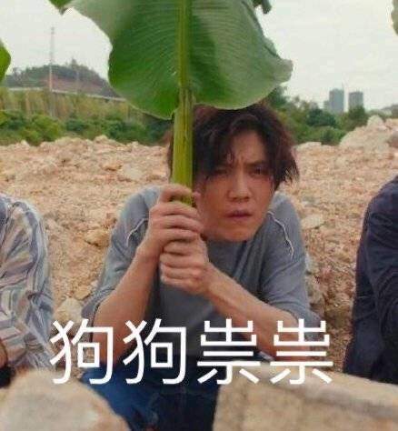 鹿晗穿越火线表情包