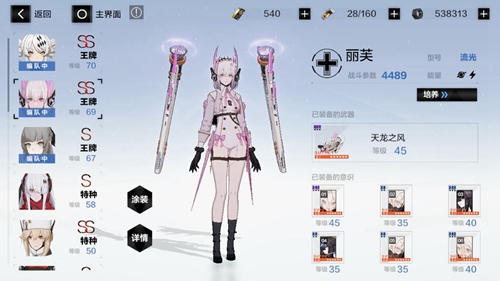 战双帕弥什流光意识