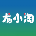 龙小淘app