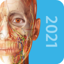2021人体解剖学图谱