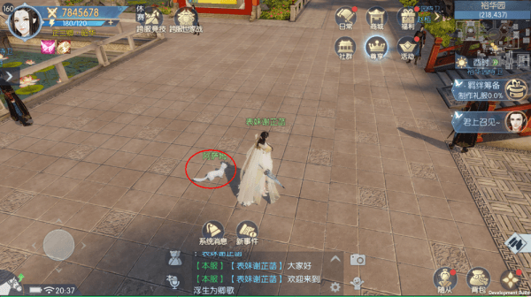 浮生为卿歌宠物怎么玩 浮生为卿歌的宠物攻略