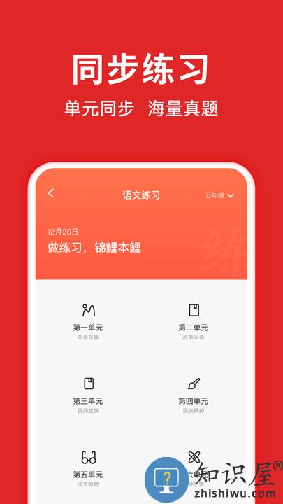 题拍拍app软件 题拍拍拍照搜题免费下载安装