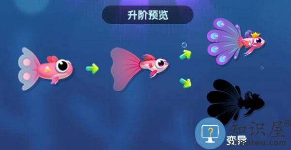 萌鱼泡泡游戏攻略大全