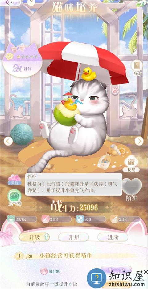 甜甜的你猫咪养成玩法攻略