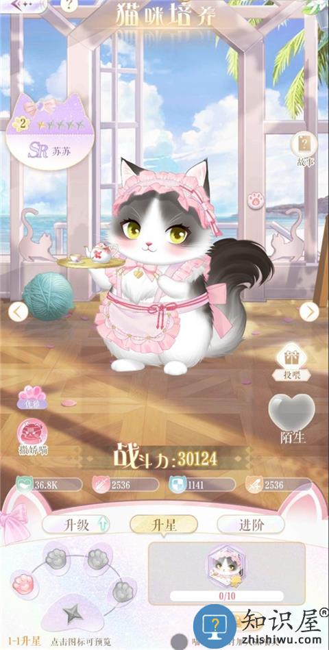 甜甜的你猫咪养成玩法攻略