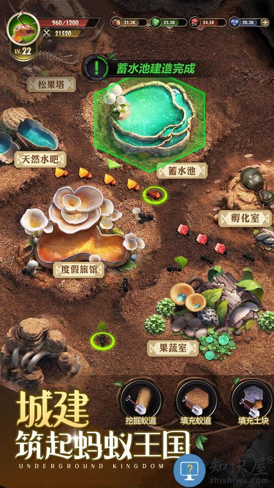 小小蚁国手机版下载