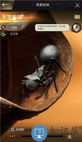 小小蚁国游戏选择习性指南