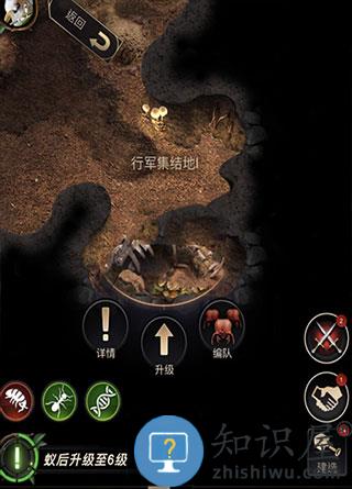 小小蚁国游戏战力提升攻略