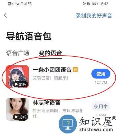高德地图小团团怎么设置详细模式 高德地图小团团设置教程