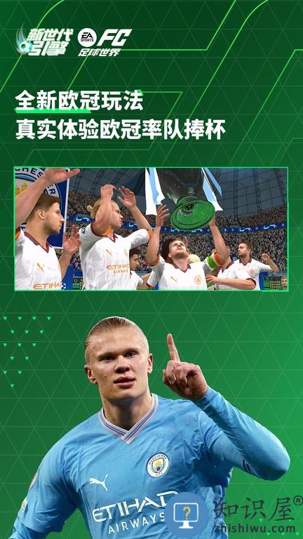 fc足球世界游戏