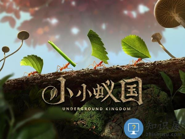 小小蚁国汉化版 小小蚁国中文手机版