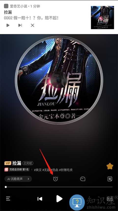 爱奇艺小说听书方法介绍