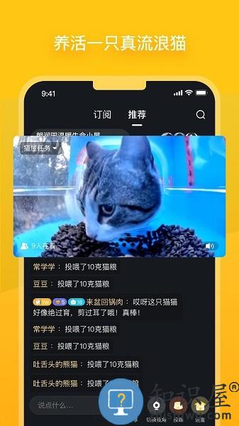 哈啰街猫app官方下载