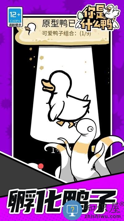 你是什么鸭手机版下载