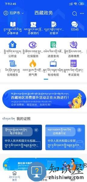 西藏政务服务app