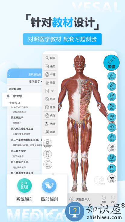 维萨里3d解剖app 维萨里3d解剖官方版下载