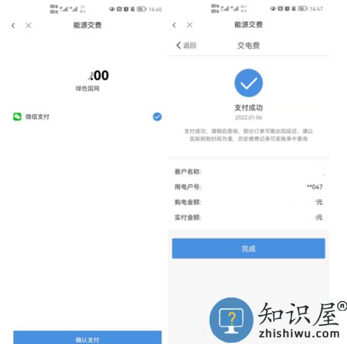 绿色国网app查电费交电费方法
