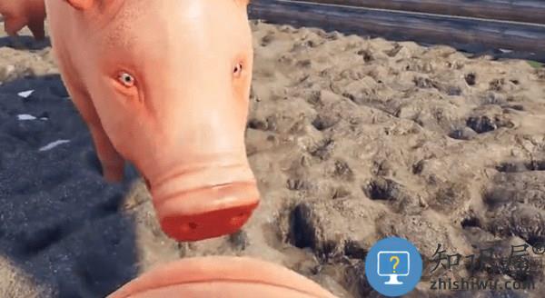 小猪模拟器中文版pigsimulator 抖音小猪模拟器手机版下载