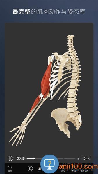 维萨里3D解剖安卓版 维萨里3D解剖官方版