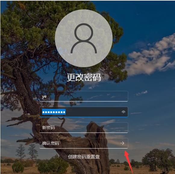 win11如何取消开机密码？win11开机不用密码设置教程