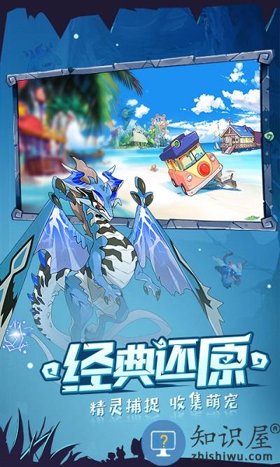 口袋觉醒九游下载