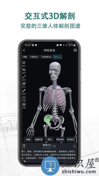 掌上3d解剖软件下载