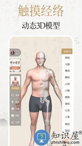 中济经络穴位3d 中济经络穴位app