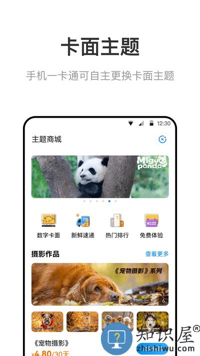 市政交通一卡通官网版 市政交通一卡通app下载安装