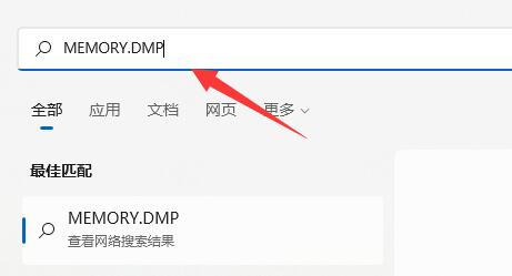 win11系统怎么查看蓝屏文件？win11系统查看蓝屏文件方法