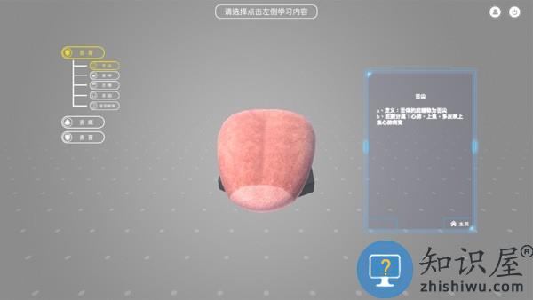 舌诊技能实训app
