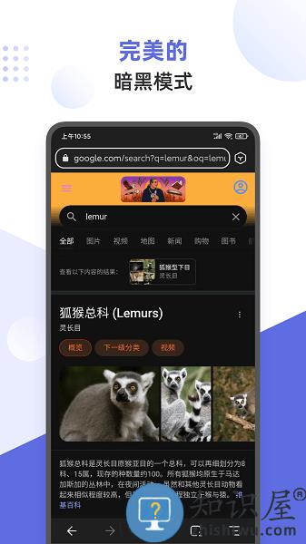 狐猴浏览器app下载