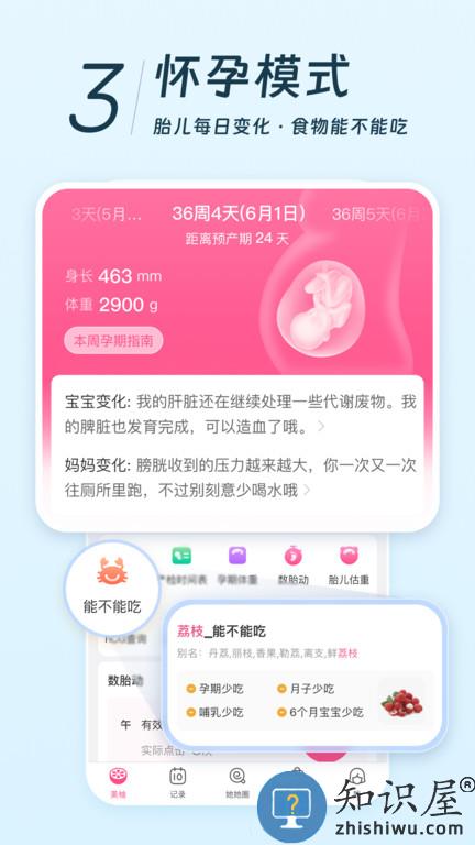 美柚app下载备孕软件