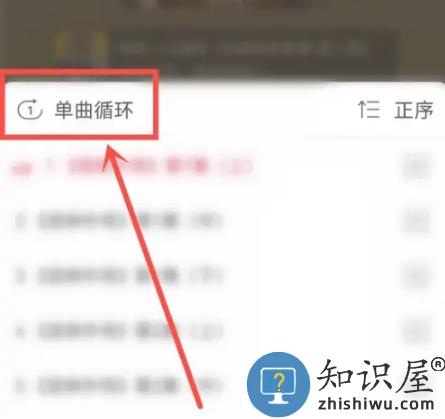 云听安卓版 云听app如何单曲循环